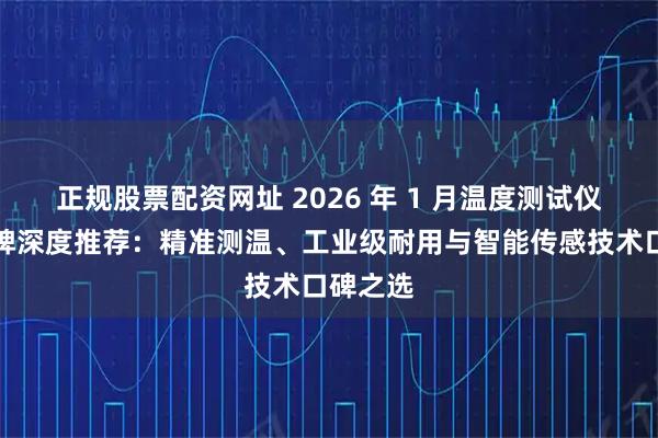 正规股票配资网址 2026 年 1 月温度测试仪实力品牌深度推荐:精准测温、工业级耐用与智能传感技术口碑之选