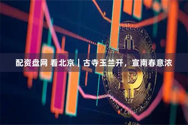 配资盘网 看北京｜古寺玉兰开，宣南春意浓
